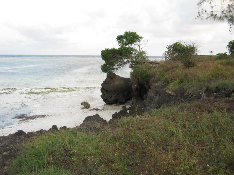 Kilifi Plot For Sale